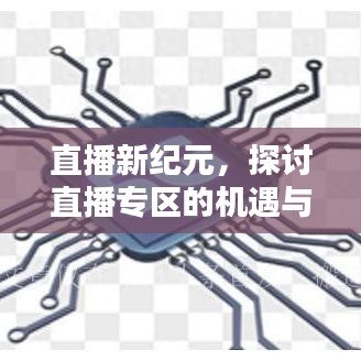 直播新纪元，机遇与挑战下的直播专区探讨