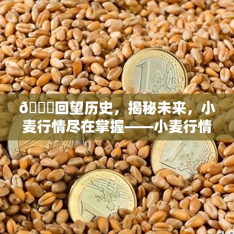 映月读书 第3页
