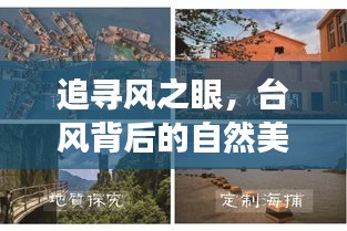 贵出贱收 第3页