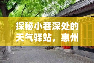 悬梁刺股 第4页