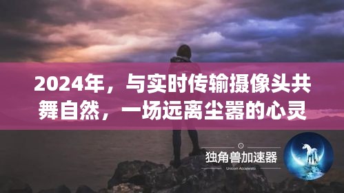 2024年实时传输摄像头下的自然之旅，心灵远离尘嚣的旅行