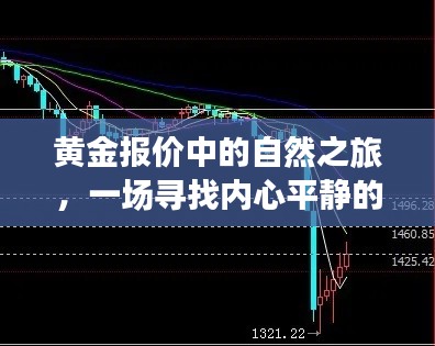 黄金报价中的自然之旅，探寻内心平静的冒险与黄金实时趋势分析图启程点
