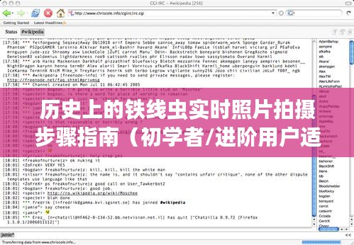 历史铁线虫实时照片拍摄指南，初学者与进阶用户的必备教程