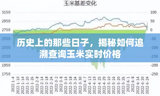揭秘历史玉米实时价格追溯查询方法