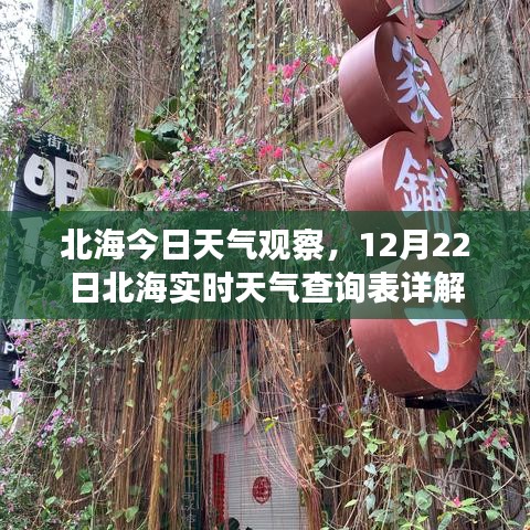 北海今日天气观察与实时天气查询表详解（12月22日）