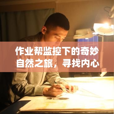 雅量高致 第4页