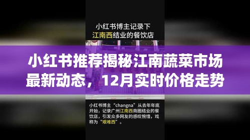 小红书推荐揭秘江南蔬菜市场最新动态，江南蔬菜市场实时价格走势分析（12月版）