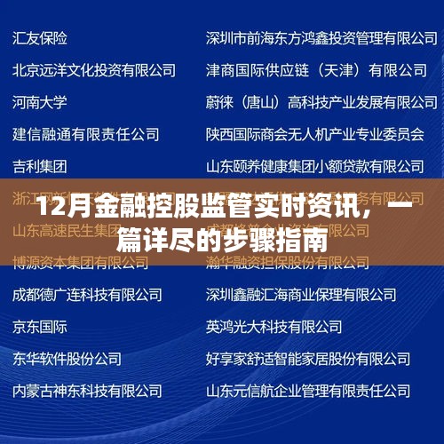 12月金融控股监管最新动态，全面实时的资讯与步骤指南