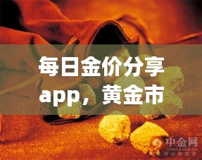 每日金价分享app，黄金市场最新实时动态更新（12月22日）