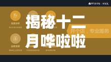 揭秘十二月存货背后的秘密，非实时运营模式真相探讨