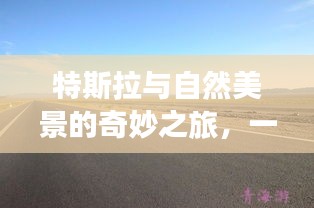 堂而皇之 第3页