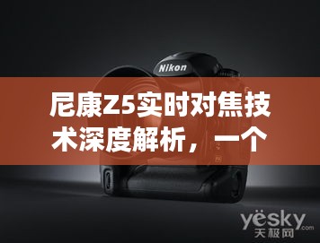 尼康Z5实时对焦技术深度解析，时代标杆，2024年视角下的里程碑