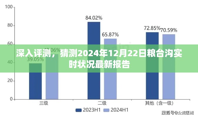 深度评测，粮台沟实时状况最新报告（预测至2024年12月22日）