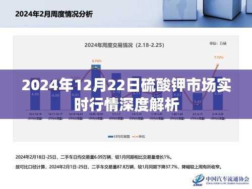 2024年12月22日硫酸钾市场实时行情深度解析及市场趋势预测