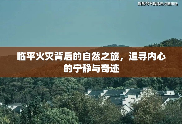 大张挞伐 第3页