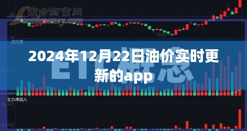 油价更新实时查询APP，2024年油价动态掌握