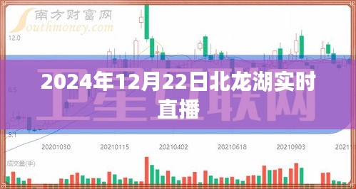 北龙湖直播盛典，2024年12月22日精彩纷呈
