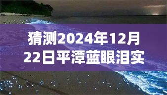 平潭蓝眼泪预测直播，厦门观赏指南，2024年12月22日实时观赏体验