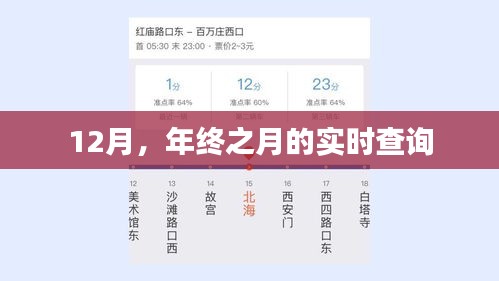 年终之月实时查询数据报告
