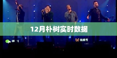 朴树12月实时数据报告