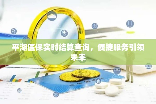 平湖医保实时结算查询，便捷服务助力民生健康保障