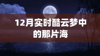 酷云梦实时更新，那片海的冬季风情