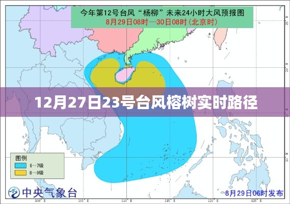 台风榕树最新实时路径播报（时间，XX月XX日）