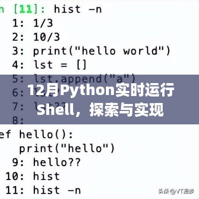 Python实时运行Shell探索与实现指南（12月版）