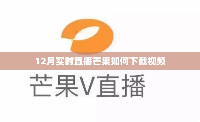 不畏权贵 第3页