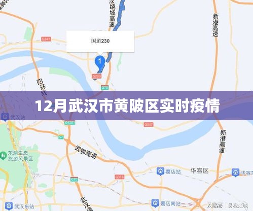 武汉黄陂区最新疫情动态通知