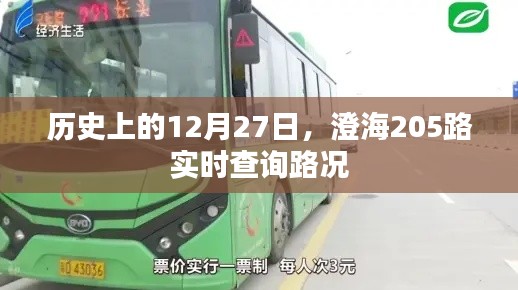 澄海205路实时路况查询，历史日期下的交通状况