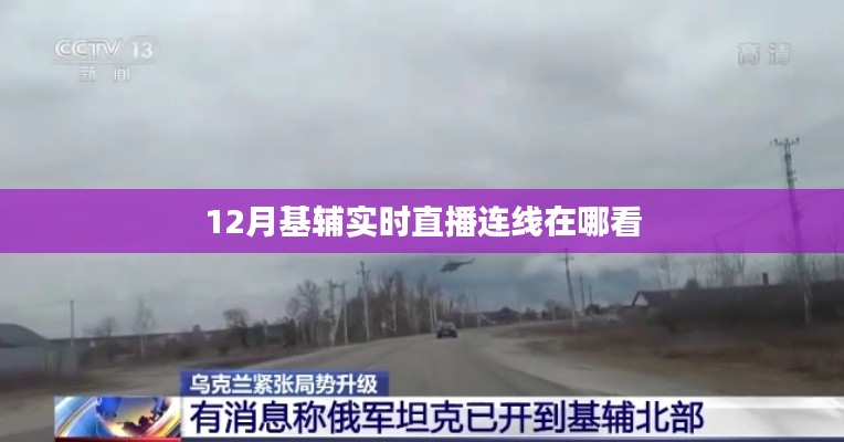 基辅十二月实时直播观看指南