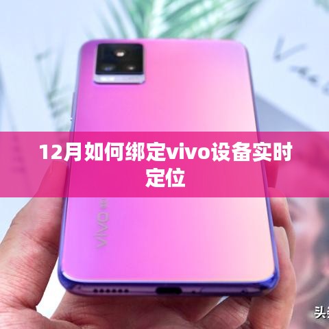 如何绑定vivo设备实现实时定位？详细步骤解析