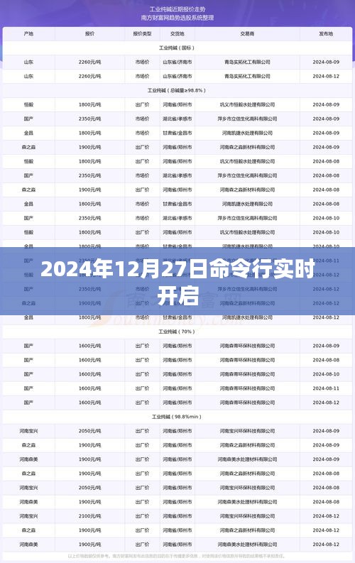2024年12月27日实时命令行开启指南