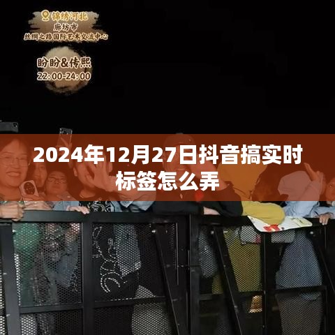 抖音实时标签制作攻略，2024年12月27日操作指南