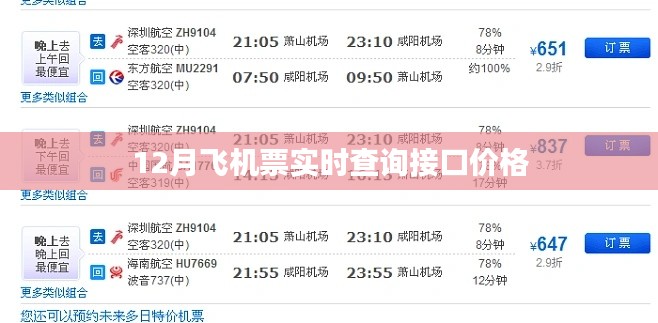 12月飞机票实时查询接口费用查询