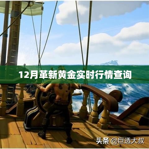 黄金行情实时更新，12月革新黄金行情查询