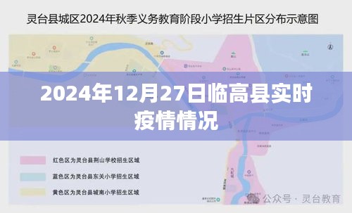 临高县最新疫情实时更新（2024年12月27日）