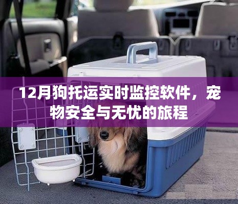 宠物托运监控软件，保障狗狗安全旅程
