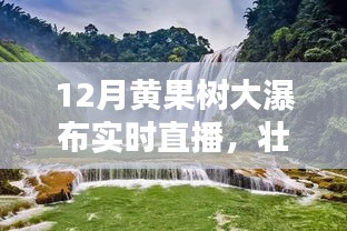 黄果树大瀑布12月实时直播，壮观景色尽收眼底