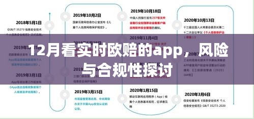 12月实时欧赔APP，风险与合规性解析