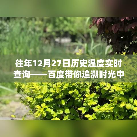 母凭子贵 第3页