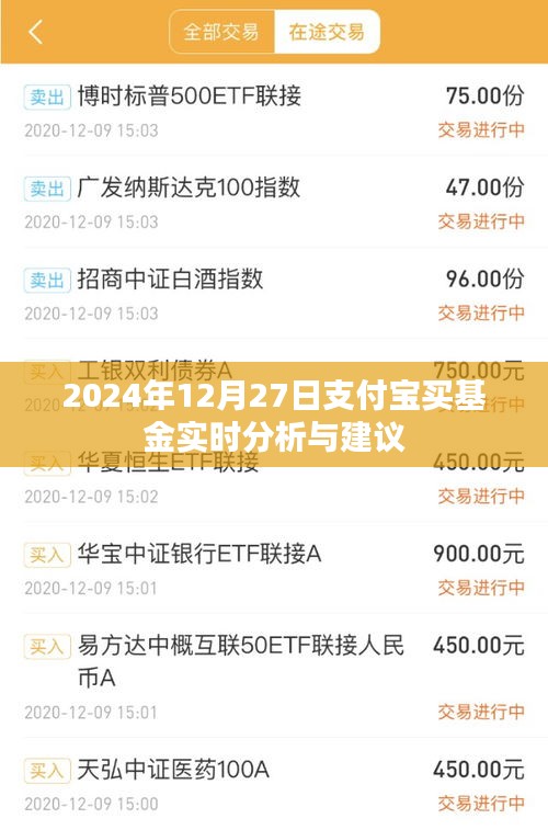 支付宝基金实时分析，2024年12月27日的投资机遇与挑战