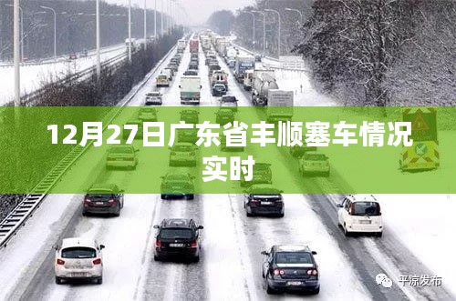 笼中之鸟 第3页