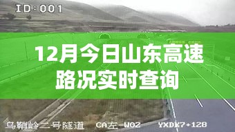 山东高速实时路况查询，今日路况更新
