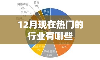 揭秘十二月热门行业趋势
