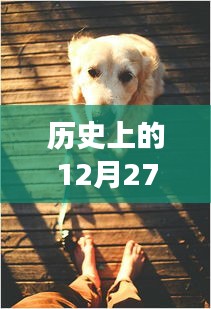 反正还淳 第3页