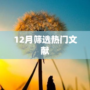 12月热门文献精选