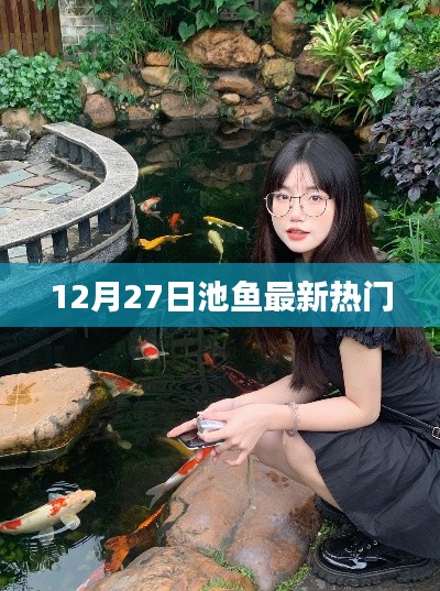 12月27日池鱼最新热点一网打尽