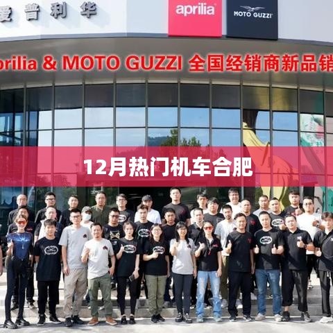 合肥机车十二月热门榜单